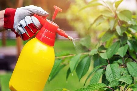 آفت کش،اخبار پزشکی،خبرهای پزشکی