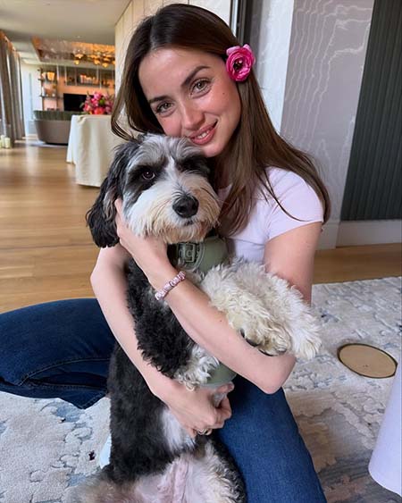 آنا د آرماس, زندگی نامه آنا د آرماس