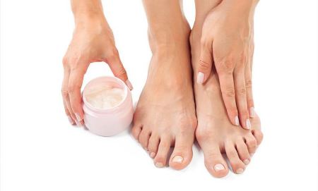 کالبدشکافی کرمها؛ ترکیبات موثر کدامند؟ کالبدشکافی کرمها؛ ترکیبات موثر کدامند؟