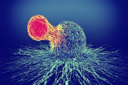 درمان سرطان،اخبار پزشکی،خبرهای پزشکی