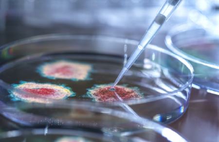 واکسن،اخبار پزشکی،خبرهای پزشکی