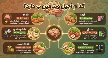 کدام آجیل ویتامین ب دارد