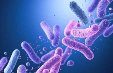 پروبیوتیک‌،اخبار پزشکی،خبرهای پزشکی