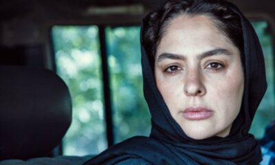 «در آغوش درخت» فردا از تلویزیون پخش می‌شود