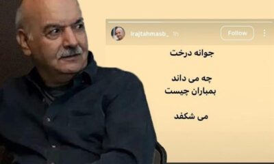 هنرمندان پای کار دفاع از وطن/ کاش نمانم، اما تو بمانی ایران زیبای من