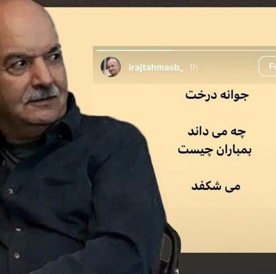 هنرمندان پای کار دفاع از وطن/ کاش نمانم، اما تو بمانی ایران زیبای من