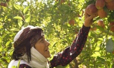 آغاز سریال «مادران» از جمعه با بازی رویا افشار