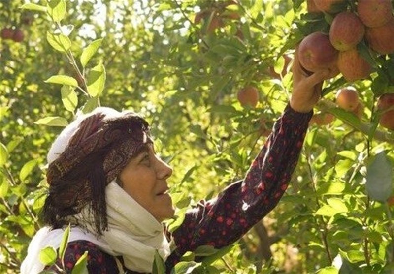 آغاز سریال «مادران» از جمعه با بازی رویا افشار