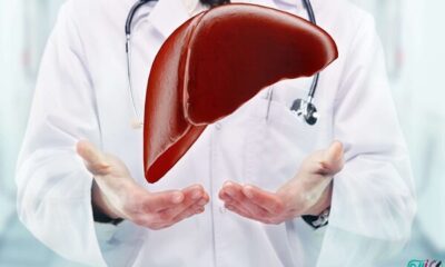 افراد لاغر هم درگیر «کبد چرب» می شوند