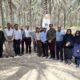 برنامه آموزشی-ترویجی کنترل آفت زنجرک خرما در بوشهر اجرا شد