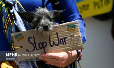 تجمع اعتراضی در واشنگتن علیه جنگ با ایران، لبنان و فلسطین