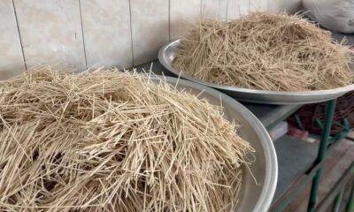 توزیع آش نذری توسط بسیجیان قوچانی