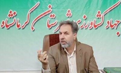 توزیع مرغ و روغن تنظیم بازاری ادامه دارد