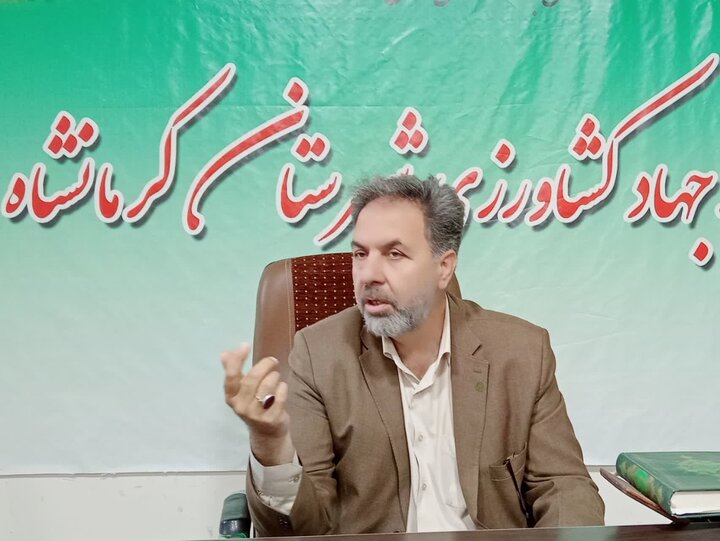 توزیع مرغ و روغن تنظیم بازاری ادامه دارد