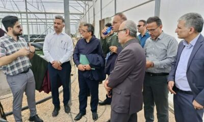 توسعه آبزی‌پروری نوین با محوریت تولید اسپیرولینا در استان بوشهر