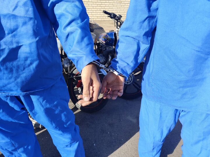 دستگیری ۳۹ سارق در تویسرکان؛ ۷۵ فقره سرقت کشف شد