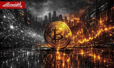 رالی دیوار ترس در بازار بیت‌کوین؛ چرا سرمایه‌گذاران نهادی در حال انباشت هستند؟