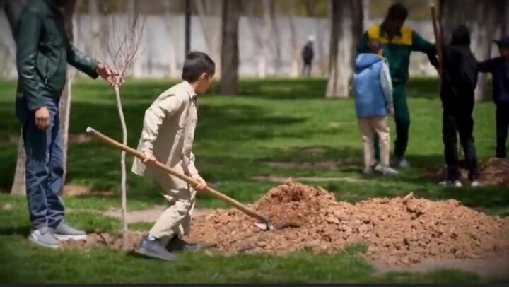 رستاخیز سبز در قلب زاگرس؛ تیمارِ زخمِ زمین با ۷ میلیون «نهال امید»