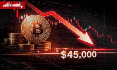 سیگنال‌های آماری علیه پادشاه کریپتو؛ تکمیل پازل نزولی بیت‌کوین