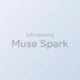 مدل Muse Spark معرفی شد؛ اولین عضو از نسل جدید هوش مصنوعی متا