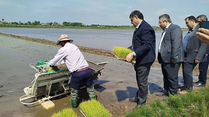 نخستین کشت نشاء مکانیزه برنج در دهسر بندر کیاشهر انجام شد