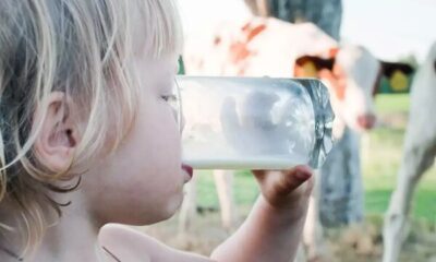 هشدار؛ تب مالت در بهار اوج می‌گیرد