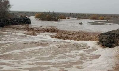 هماهنگی با ترکمنستان برای یافتن راننده تراکتور گرفتار سیل کلات