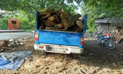 کشف چوب قاچاق در بابل