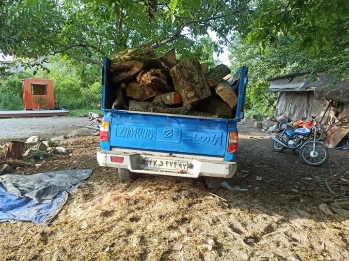 کشف چوب قاچاق در بابل