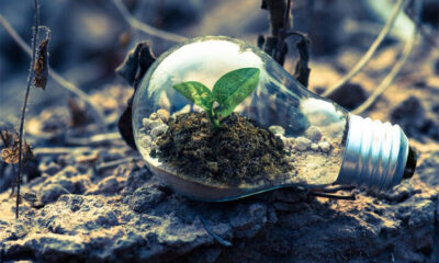 کنعانی: مازندران با ۴ چالش اساسی محیط زیستی روبرو است