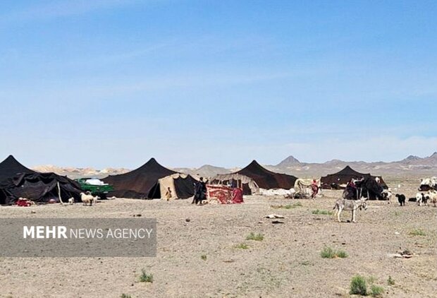 ۶۰۰ میلیارد ریال تسهیلات در اختیار عشایر قزوین قرار گرفت