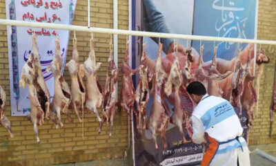 آمادگی شهرداری تبریز برای تامین دام بهداشتی عید قربان