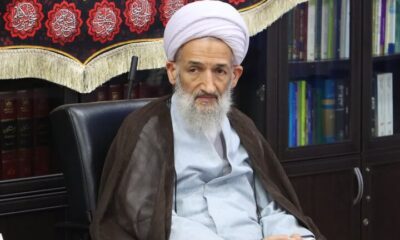 آیت الله محمدی‌لائینی: پیام مردم ایستادگی برابر دشمن است