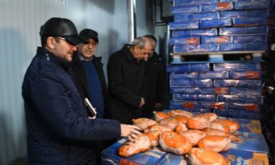 توزیع مرغ منجمد ۲۶۰ هزار تومانی در آذربایجان شرقی آغاز شد