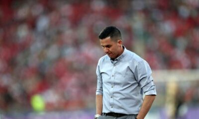 توضیح مدیرعامل پرسپولیس درمورد تصمیم باشگاه درخصوص اوسمار