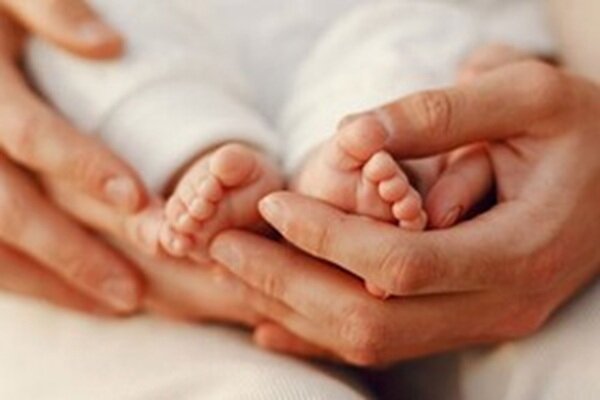 تکاپوی جهادی در مشهد؛ الگوی موفق ایران برای جوانی جمعیت