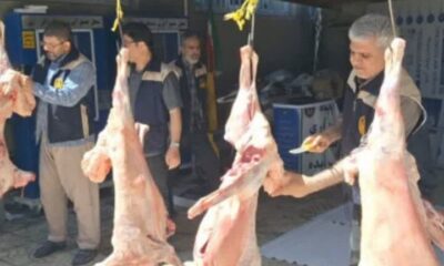 ذبح ۱۰ رأس گوسفند قربانی برای توزیع میان خانواده‌های نیازمند کنگاوری