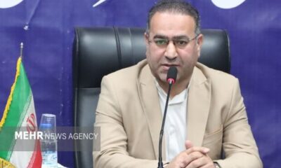 ضرورت برخورد اصولی و مؤثر با پدیده سگ‌های بلاصاحب در شهرستان شادگان