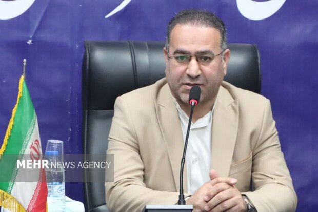 ضرورت برخورد اصولی و مؤثر با پدیده سگ‌های بلاصاحب در شهرستان شادگان