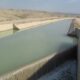 عباسی نژاد: مدیریت دقیق منابع آبی زیربنای توسعه کشاورزی در بوشهر است