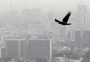 متوسط قیمت مسکن تهران اعلام شد/ خریداران از بازار فرار کردند