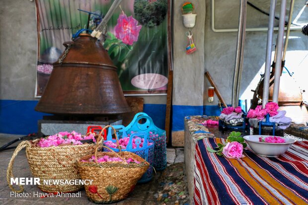 موزه گلاب قمصر کاشان؛ تنها موزه گلاب در ایران