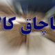 کشف ۲ تُن روغن حیوانی قاچاق به ارزش ۵ میلیارد تومان در رامهرمز