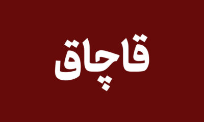 ۲۵ تن نهاده دامی قاچاق در قم کشف شد