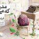 رقابت برای روایت رویای ناتمام کودکانی که جنگ جان‌شان را گرفت