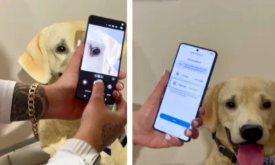سامسونگ قابلیت Pet Care را معرفی کرد؛ تشخیص بیماری حیوان خانگی با یک عکس