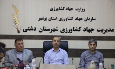 فرماندار دشتی: حمایت از بخش کشاورزی ار الزامات توسعه شهرستان است
