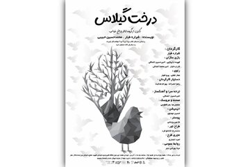 نبرد پرنده‌ها با دارکوب زورگو در تالار هنر