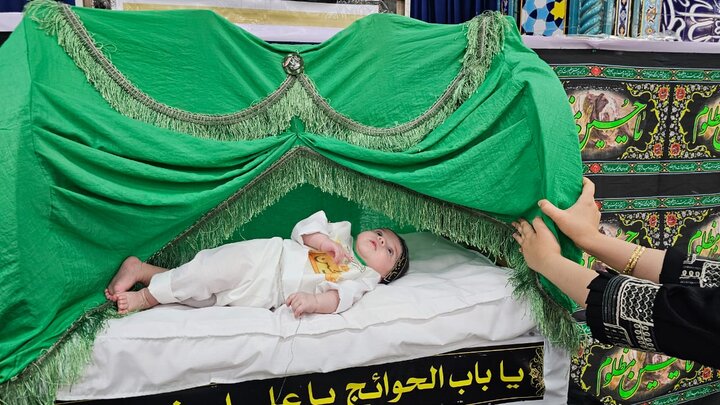 همایش شیرخوارگان حسینی در دیر برگزار شد