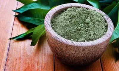پروتئین درمانی مو در خانه با 3 ماسک ارزان قیمت